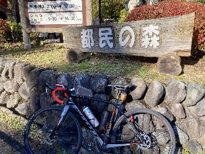 Photo from 2024/11/9