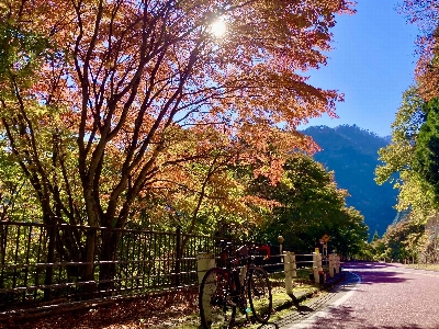 Photo from 2024/11/9