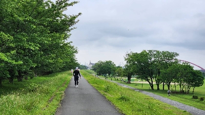 Photo from 2023/6/10