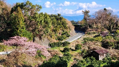 Photo from 2024/2/12