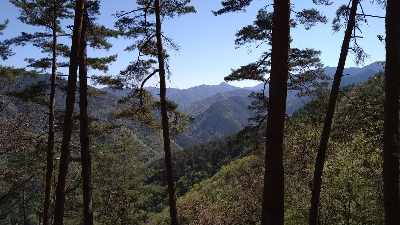 Photo from 2021/4/26