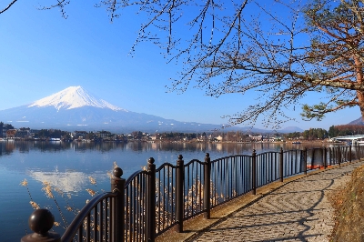 Photo from 2025/3/21