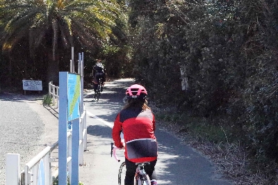 Photo from 2024/3/10