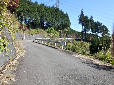 Photo from 2017/11/3