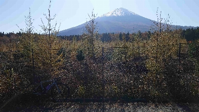 Photo from 2025/11/7