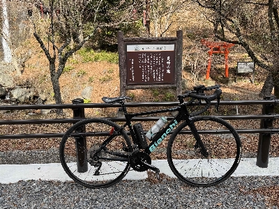 Photo from 2024/12/22