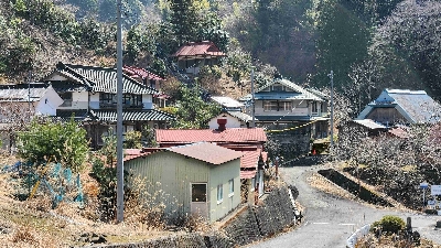 Photo from 2024/3/16