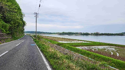Thumbnail for 54563