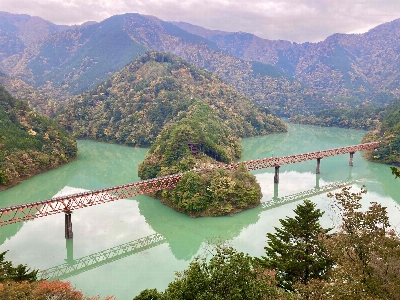 Photo from 2024/11/16