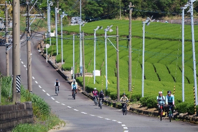 Photo from 2025/4/26