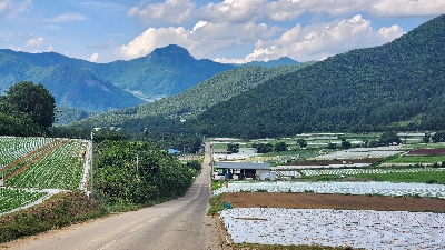 Photo from 2024/7/20