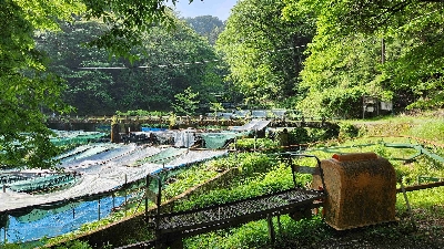 Photo from 2025/5/19