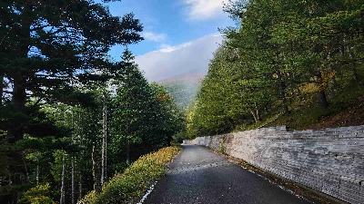 Photo from 2025/10/18