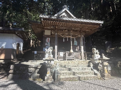 Photo from 2025/7/26