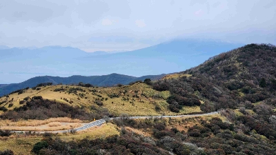 Photo from 2025/12/3