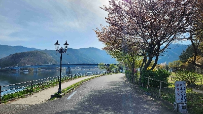 Photo from 2025/4/20