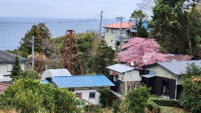 Photo from 2024/2/17