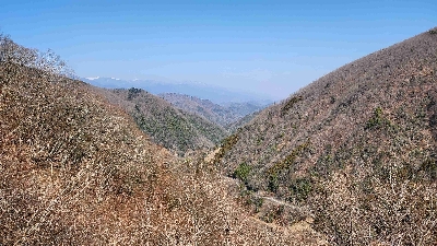 Photo from 2024/3/16