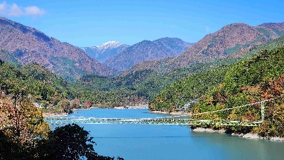 Photo from 2024/11/21