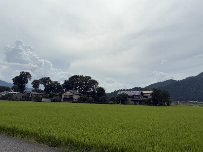 Thumbnail for 55299