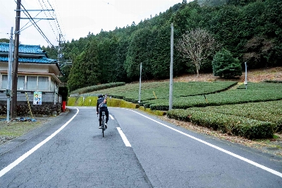 Photo from 2025/3/15