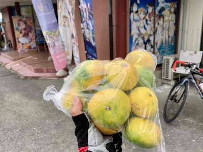 Photo from 2024/9/29