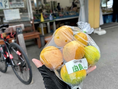 Photo from 2025/10/19