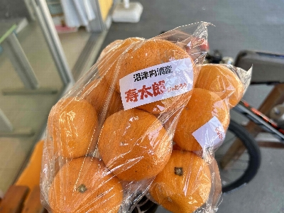 Photo from 2025/4/29