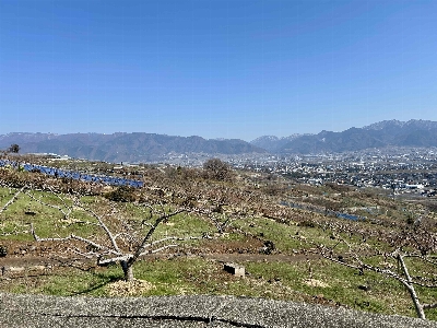 Photo from 2025/3/22