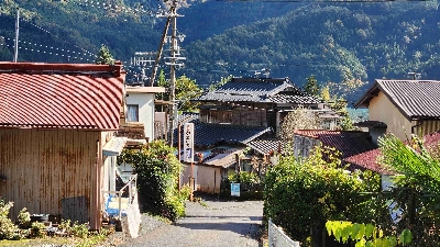 Photo from 2024/11/21