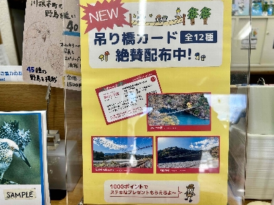 Photo from 2025/7/12