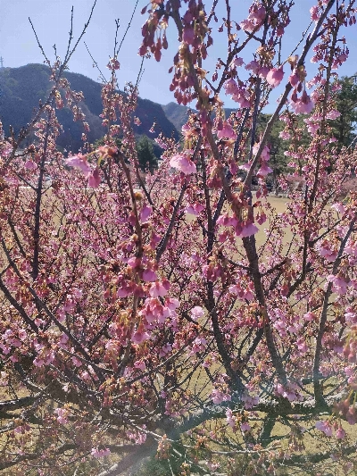 Photo from 2024/1/17