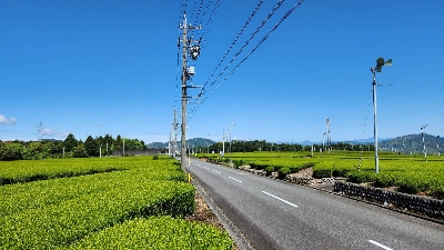 Photo from 2023/4/16