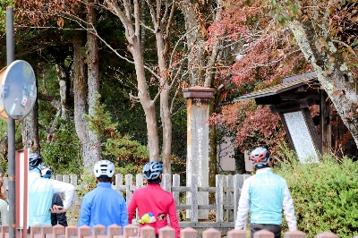 Photo from 2024/11/10