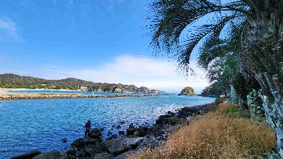 Photo from 2024/1/28