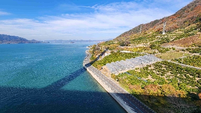 Photo from 2025/12/19