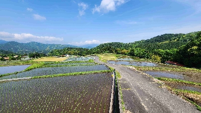 Photo from 2025/5/19