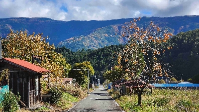 Photo from 2024/11/21