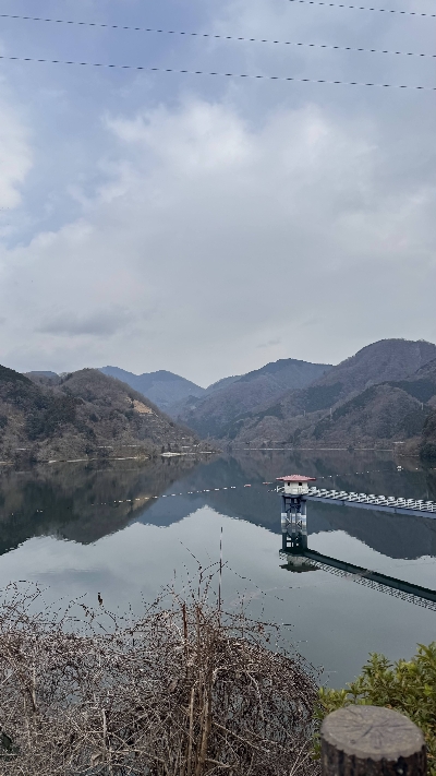 Photo from 2025/1/25