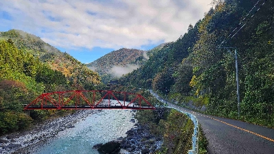 Photo from 2024/11/20