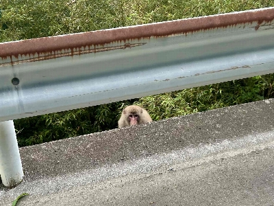 Photo from 2025/6/13