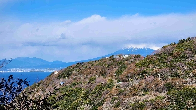 Photo from 2024/1/24