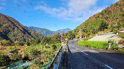 Photo from 2024/11/21