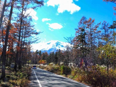 Photo from 2024/11/24