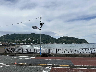 Photo from 2025/5/25