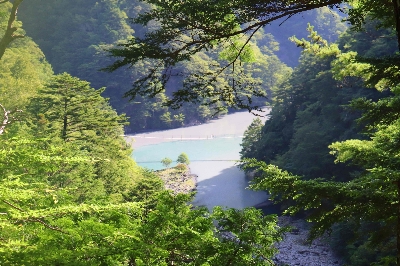 Photo from 2025/7/26