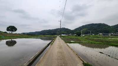 Photo from 2023/6/10