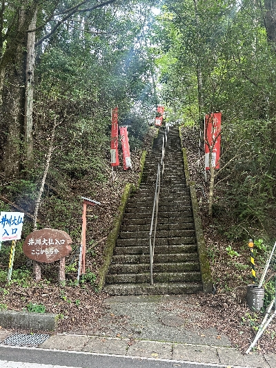 Photo from 2024/7/21