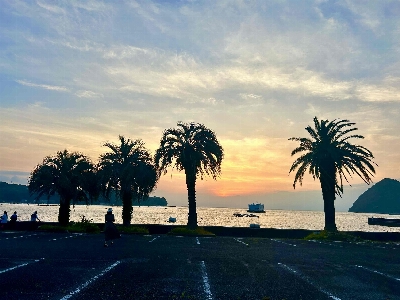 Photo from 2025/6/22