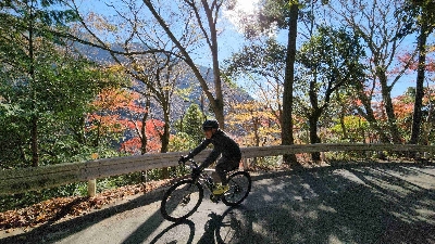 Photo from 2023/12/3